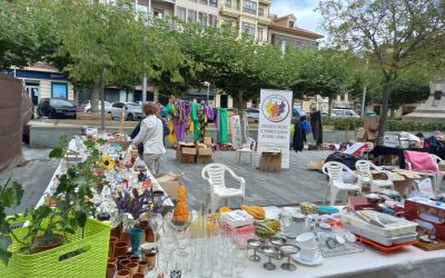 TRADICIONAL RASTRILLO VERANIEGO